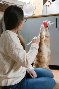 Photo de galerie - Jeu avec Hector