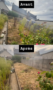 Photo de galerie - Nettoyage d’un jardin 