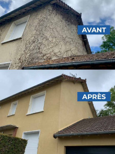 Photo de galerie - Nettoyage toiture plus Anti mous et hydrofuge 