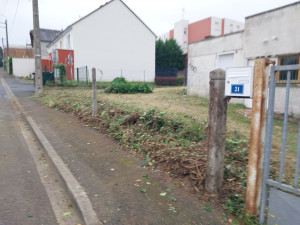 Photo de galerie - (photo après prestation) Abattage d’arbre, évacuation des déchets, enlèvement de clôture