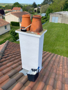 Photo de galerie - Remise en peinture de plusieurs cheminées 