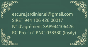 Photo de galerie - Contact - Entretien d'espaces verts