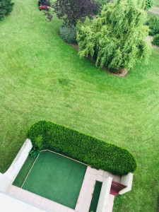 Photo de galerie - Tonte de pelouse, taille haies, aménagement 