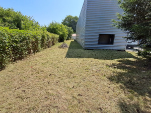 Photo de galerie - Après débroussaillage entreprise sodipec