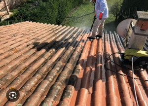 Photo de galerie - Nettoyage toiture