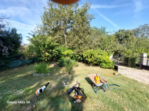 Photo de galerie - Avant taille de haie et d'arbustes 