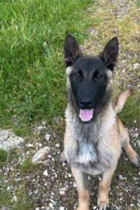 Photo de galerie - Jeux dans les collines