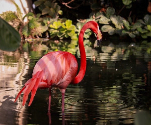 Photo de galerie - Photographe et monteuse photo 