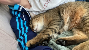 Photo de galerie - ?