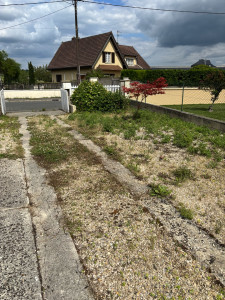 Photo de galerie - Tonte de pelouse - Débroussaillage