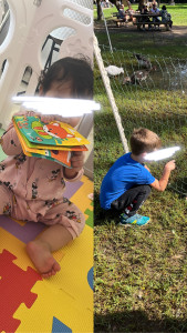 Photo de galerie - Gardez vos loulous en tout sécurité, les accompagner à l’école si besoin