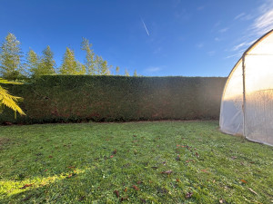 Photo de galerie - Taille de haie 