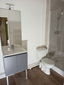 Photo de galerie - Nettoyage salle de bain 