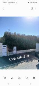 Photo de galerie - Taille de haies et d'arbustes