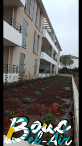 Photo de galerie - Plantation mixte (massif)
 