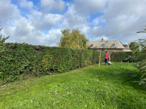 Photo de galerie - Taille de haies et tonte de pelouse 