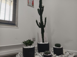 Photo de galerie - Jardin intérieur 1 m x 1 m