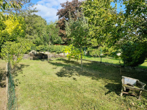 Photo de galerie - Entretien de jardin, taille d'arbres / arbustes, débroussaillage et tonte pelouse
