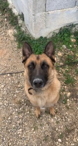 Photo de galerie - Cette bouille !