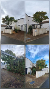 Photo de galerie - Taille de haies et d'arbustes