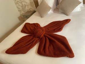 Photo de galerie - Lingerie - Repassage