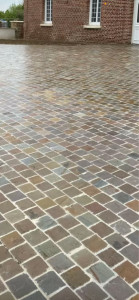 Photo de galerie - Mouse de cour en pavé 