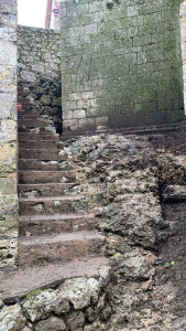 Photo de galerie - Paysagiste - Aménagement du jardin