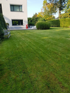 Photo de galerie - J’ai intervenue chez un client très satisfait de mon travaille 