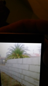 Photo de galerie - MUR DE CLOTURE