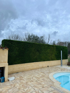 Photo de galerie - Après 