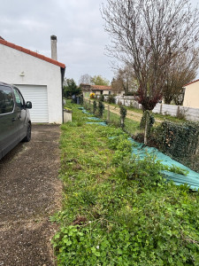 Photo de galerie - Tonte de pelouse - Débroussaillage