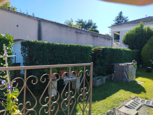 Photo de galerie - Taille de haie (après)