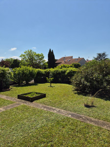 Photo de galerie - Tonte de pelouse - Débroussaillage