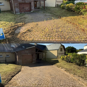 Photo de galerie - Tonte de pelouse - Débroussaillage