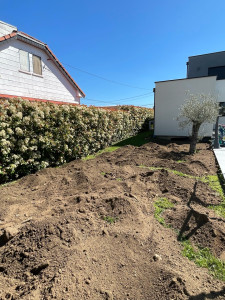 Photo de galerie - Paysagiste - Aménagement du jardin