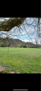 Photo de galerie - Tonte de pelouse - Débroussaillage