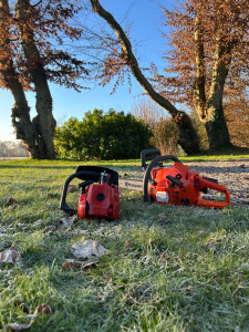 Photo de galerie - Tronçonnage d’un arbre qui menaçait de tomber