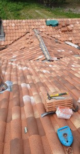 Photo de galerie - Couverture - Toiture