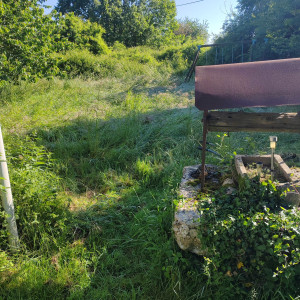 Photo de galerie - Tonte de pelouse - Débroussaillage