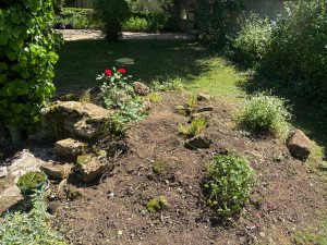 Photo de galerie - Desherbage 