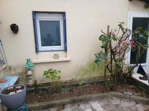 Photo de galerie - Jardinier