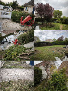 Photo de galerie - Coupe de plusieurs arbres .