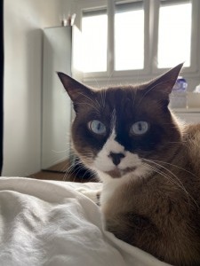 Photo de galerie - Je garde à nouveau Simsim pendant 5 jours