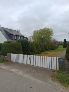 Photo de galerie - Taille d'arbustes 