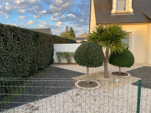 Photo de galerie - Taille de la hais et des arbuste 