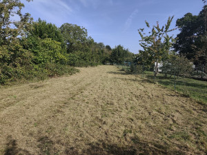 Photo de galerie - Tonte de pelouse environ 1000 metre carrée 