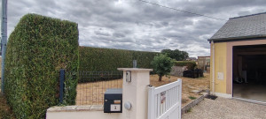 Photo de galerie - .
