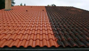 Photo de galerie - Traitement et demoussage toiture 