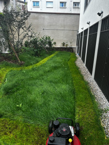 Photo de galerie - Tonte 