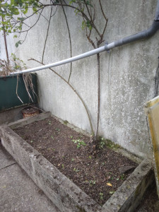 Photo de galerie - Après 